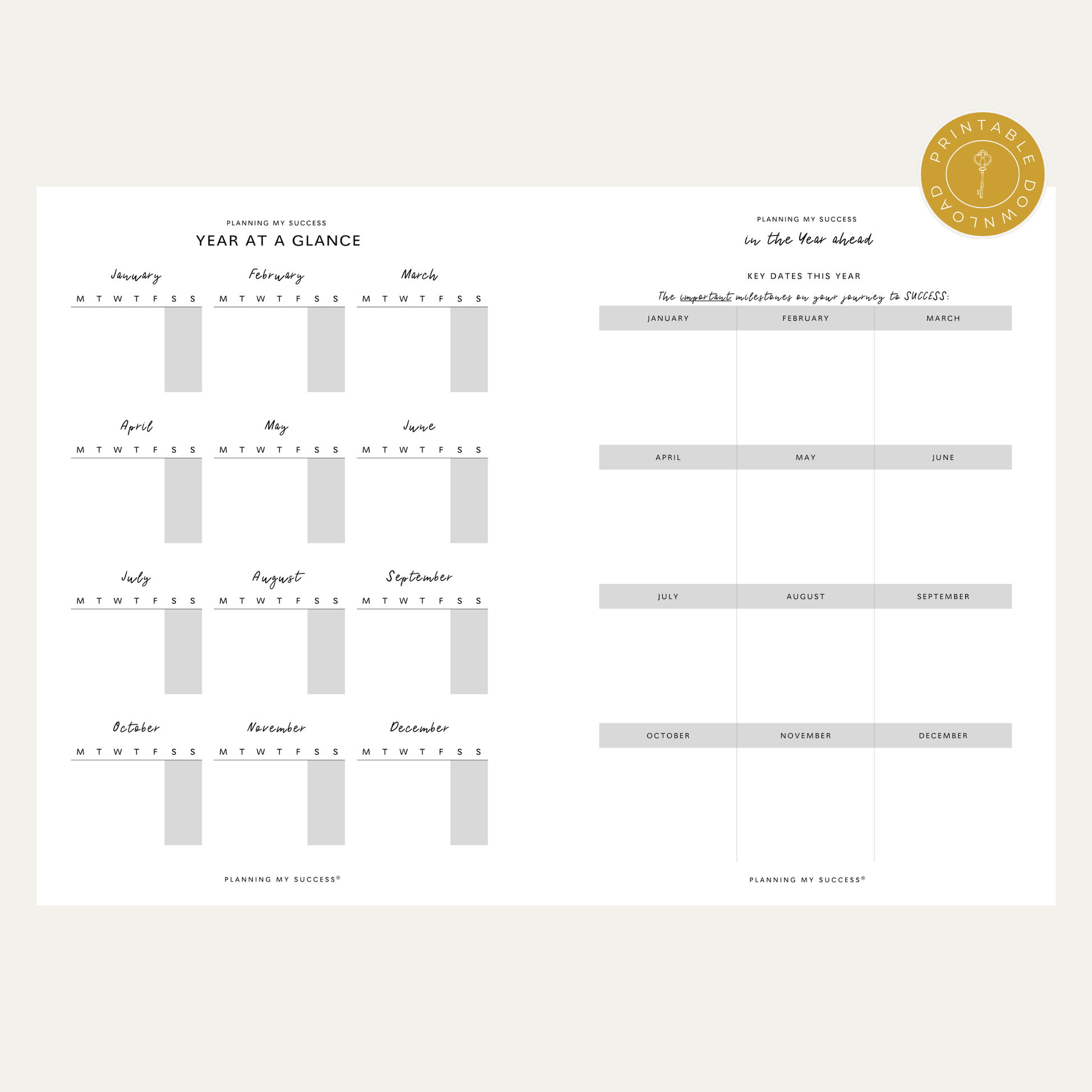PRINTABLE Planning my Success -  Undated Inserts Pack (Day on One Page) - PLANNING MY SUCCESS