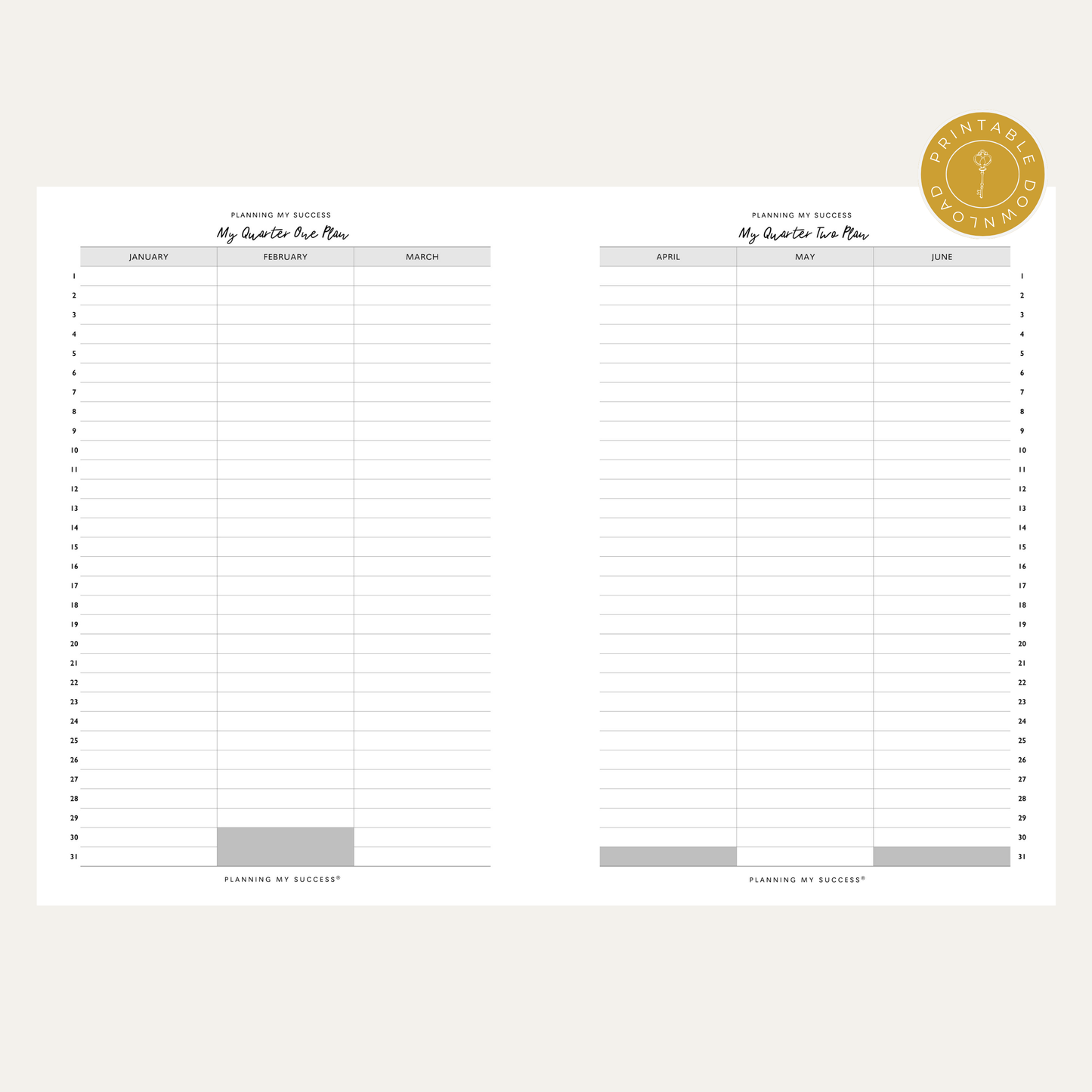 PRINTABLE Planning my Success -  Undated Inserts Pack (Day on One Page) - PLANNING MY SUCCESS