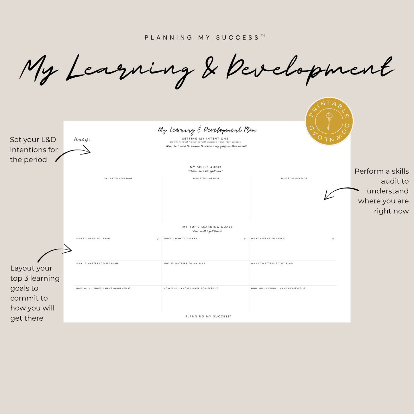 Printable planning system for ambitious professionals and founders