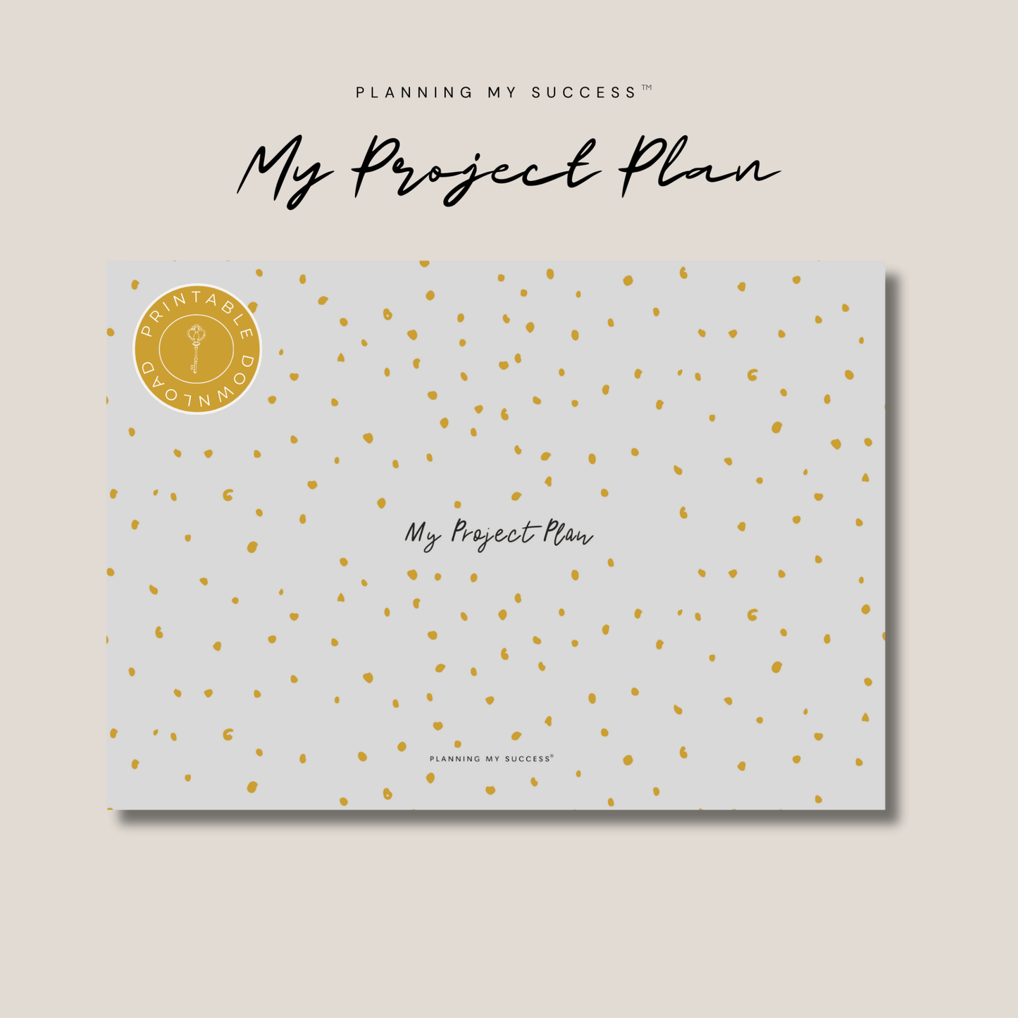 My Project Plan™ – Perfectly Planned Project Management Dashboard