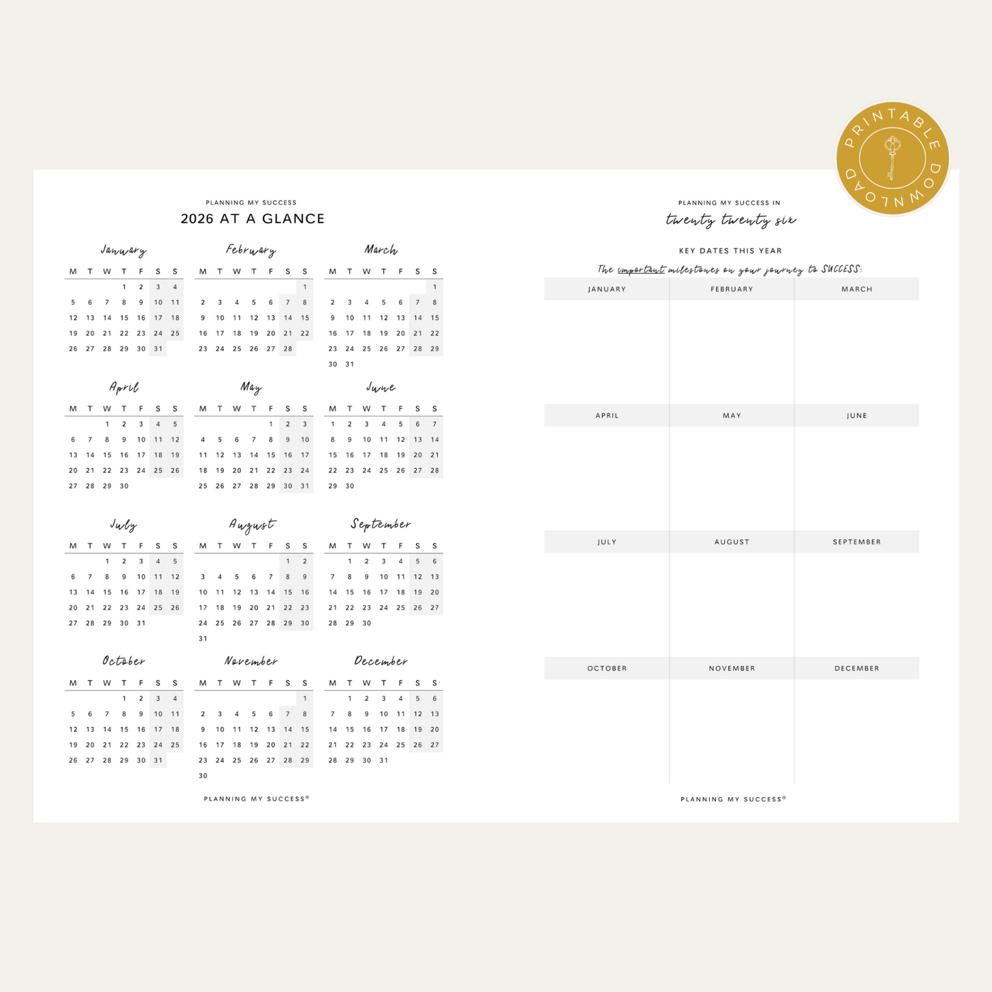 PRINTABLE Planning my Success in 2026 - Inserts Pack (Day on One Page Full Year Planner) - DETAILS BY EMMA
