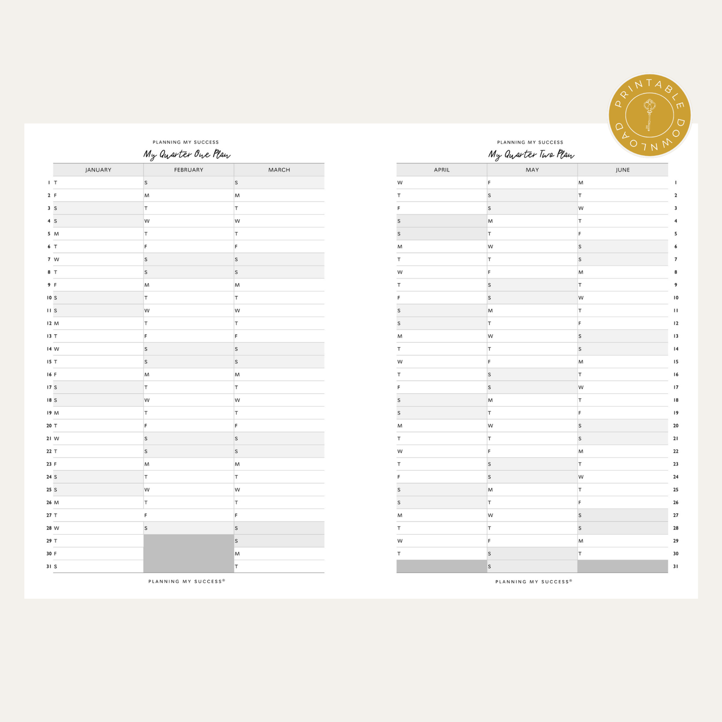 PRINTABLE Planning my Success in 2026 - Inserts Pack (Day on One Page Full Year Planner) - DETAILS BY EMMA